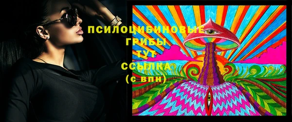 PSILOCYBIN Абдулино