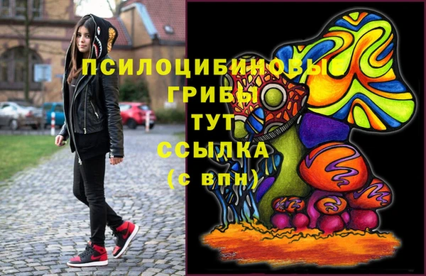 спайс Алексин